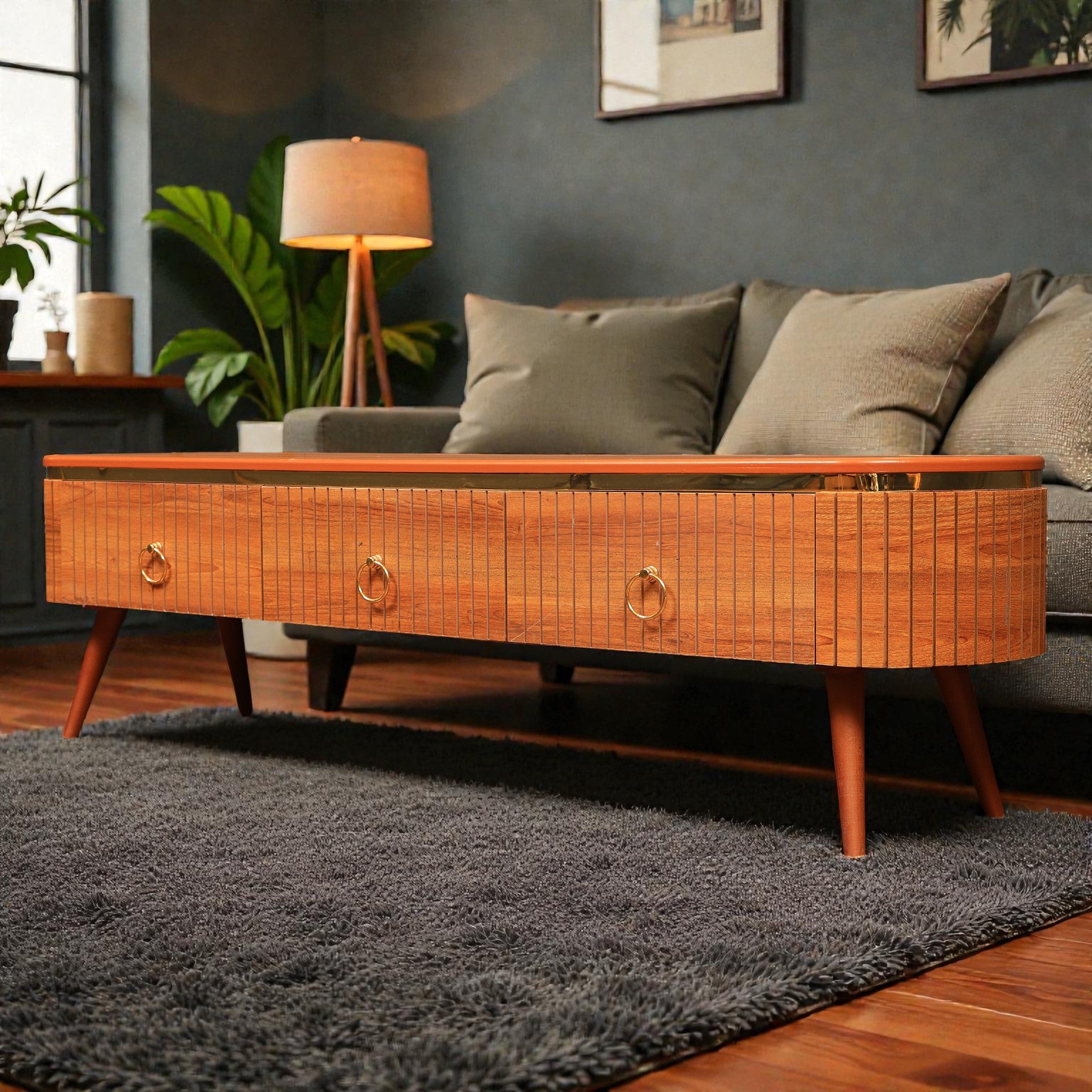 ترابيزة تليفزيون 204