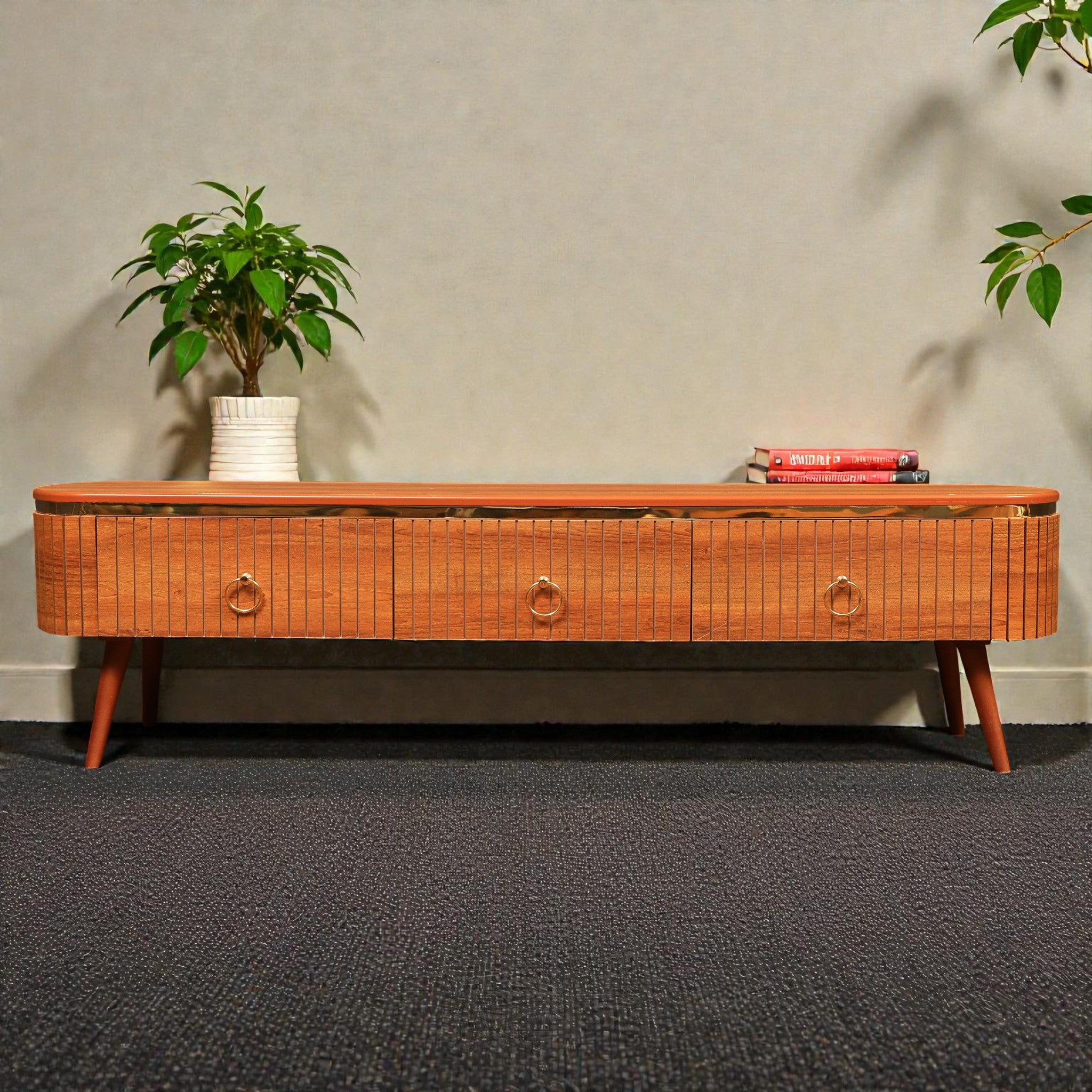 ترابيزة تليفزيون 204